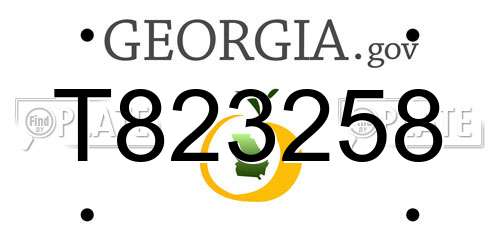 T823258 Georgia License Plate