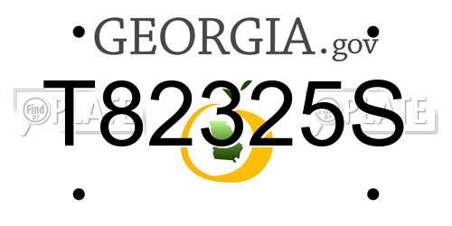 T82325S Georgia License Plate