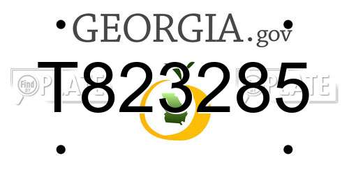 T823285 Georgia License Plate
