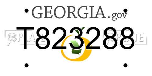 T823288 Georgia License Plate