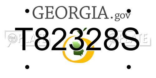 T82328S Georgia License Plate
