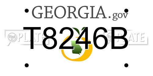 T8246B Georgia License Plate