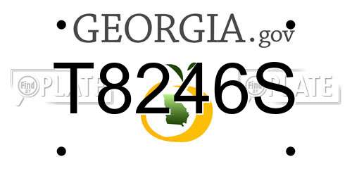 T8246S Georgia License Plate
