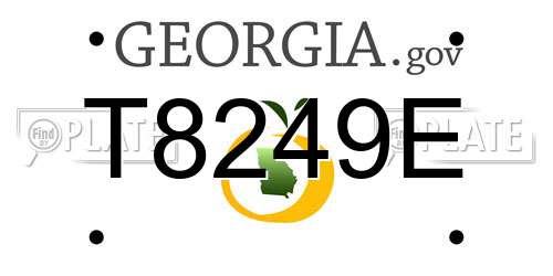 T8249E Georgia License Plate