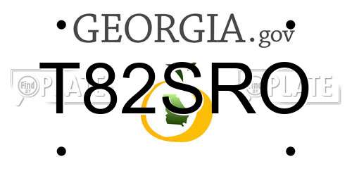 T82SRO Georgia License Plate
