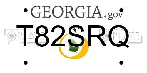 T82SRQ Georgia License Plate