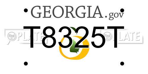 T8325T Georgia License Plate
