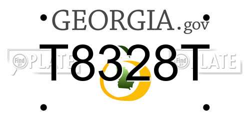 T8328T Georgia License Plate