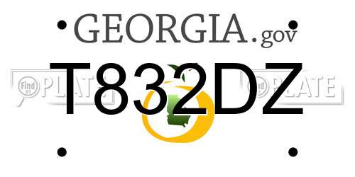 T832DZ Georgia License Plate