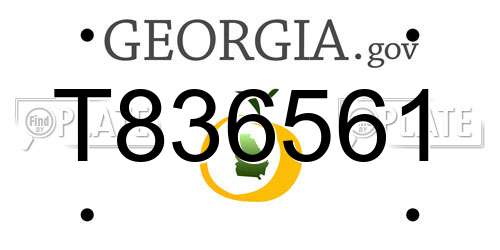 T836561 Georgia License Plate