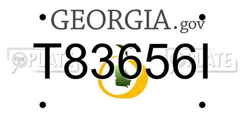 T83656I Georgia License Plate