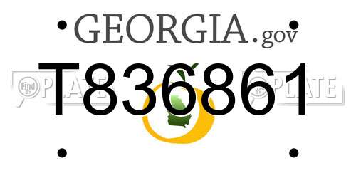 T836861 Georgia License Plate