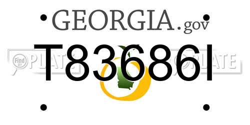 T83686I Georgia License Plate