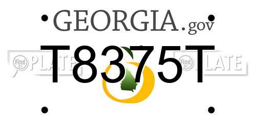 T8375T Georgia License Plate