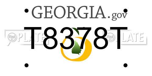 T8378T Georgia License Plate