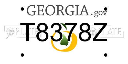 T8378Z Georgia License Plate