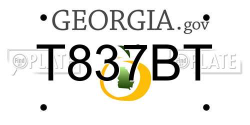 T837BT Georgia License Plate