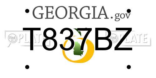 T837BZ Georgia License Plate