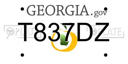 T837DZ Georgia License Plate