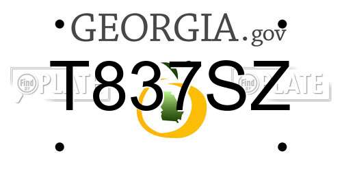 T837SZ Georgia License Plate