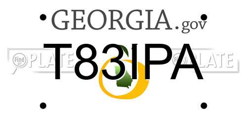 T83IPA Georgia License Plate