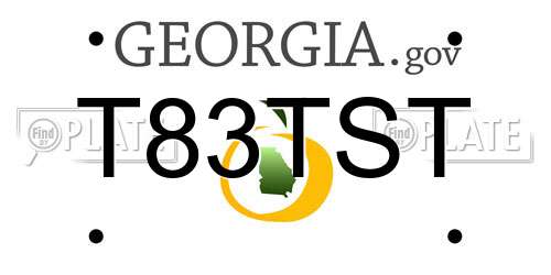 T83TST Georgia License Plate