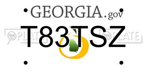 T83TSZ Georgia License Plate