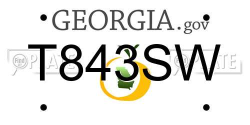 T843SW Georgia License Plate