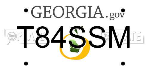 T84SSM Georgia License Plate