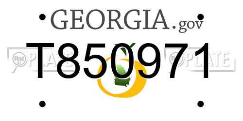 T850971 Georgia License Plate