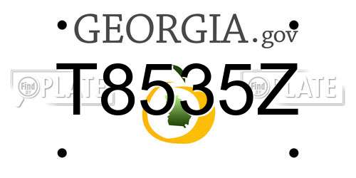 T8535Z Georgia License Plate