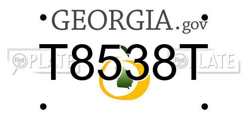 T8538T Georgia License Plate