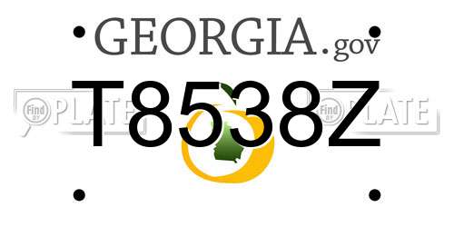 T8538Z Georgia License Plate