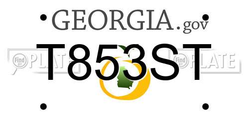 T853ST Georgia License Plate