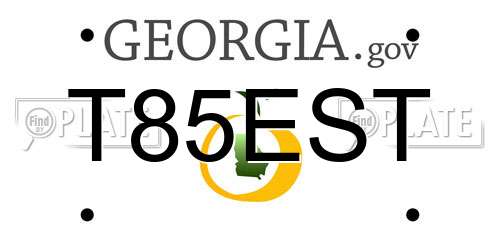 T85EST Georgia License Plate