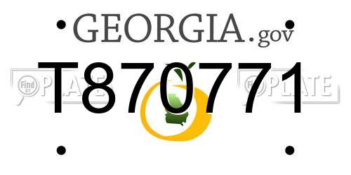 T870771 Georgia License Plate