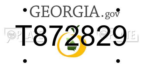 T872829 Georgia License Plate