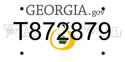 T872879 Georgia License Plate