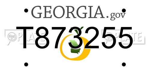 T873255 Georgia License Plate