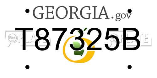 T87325B Georgia License Plate