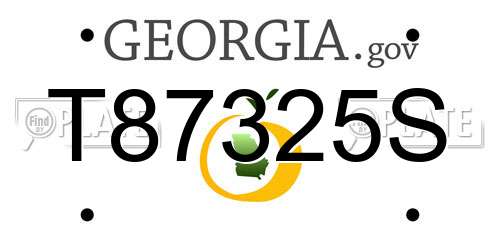 T87325S Georgia License Plate