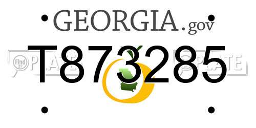 T873285 Georgia License Plate