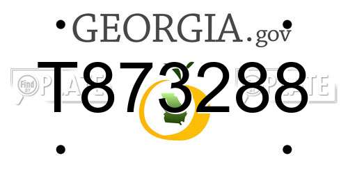 T873288 Georgia License Plate