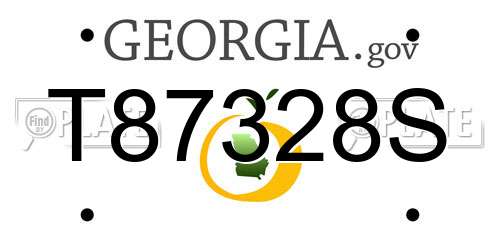 T87328S Georgia License Plate