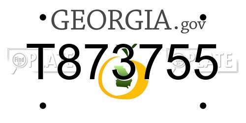 T873755 Georgia License Plate