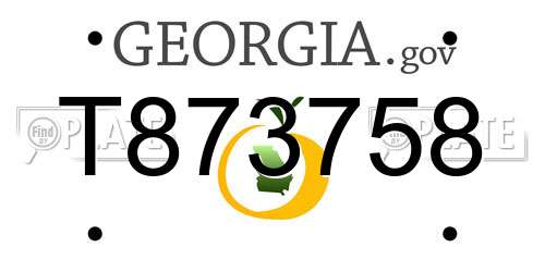 T873758 Georgia License Plate