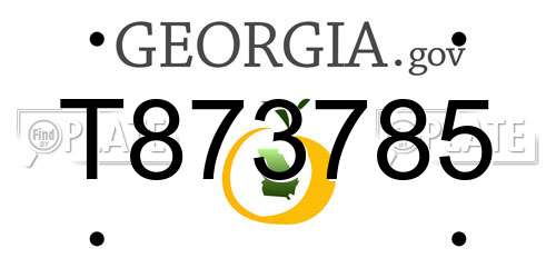 T873785 Georgia License Plate