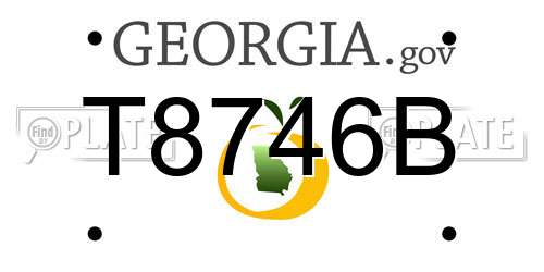 T8746B Georgia License Plate