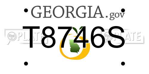 T8746S Georgia License Plate