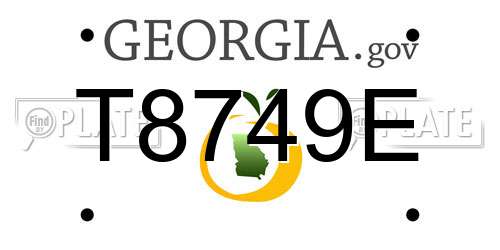 T8749E Georgia License Plate